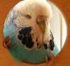Forum Upgraded - last post by **KAZ**