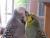 The Fat Budgie - last post by Taylor
