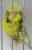 I Found A Good Budgie Book... - last post by Twisted