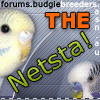 ~The Netsta!~